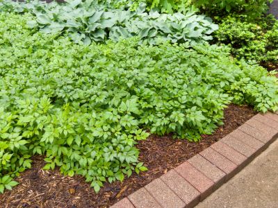 Brick Hardscape Construction in Warwick, RI